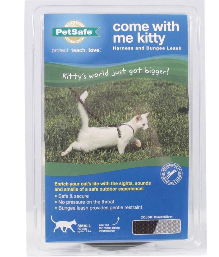 petsafe harness cat