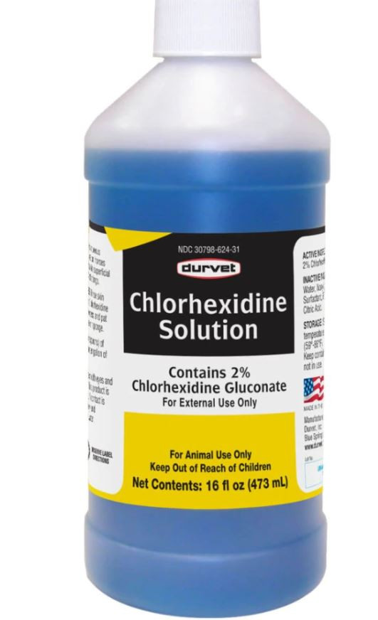 chlorhexidine 2 solution for dogs