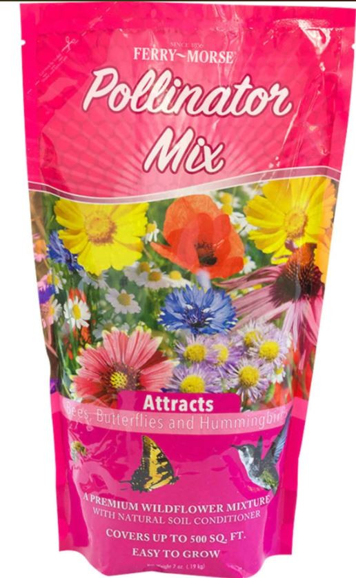 Wildflower500g Patterson’s curse 500g Wildflower500g Patterson's curse 500g Wildflower500g Patterson's