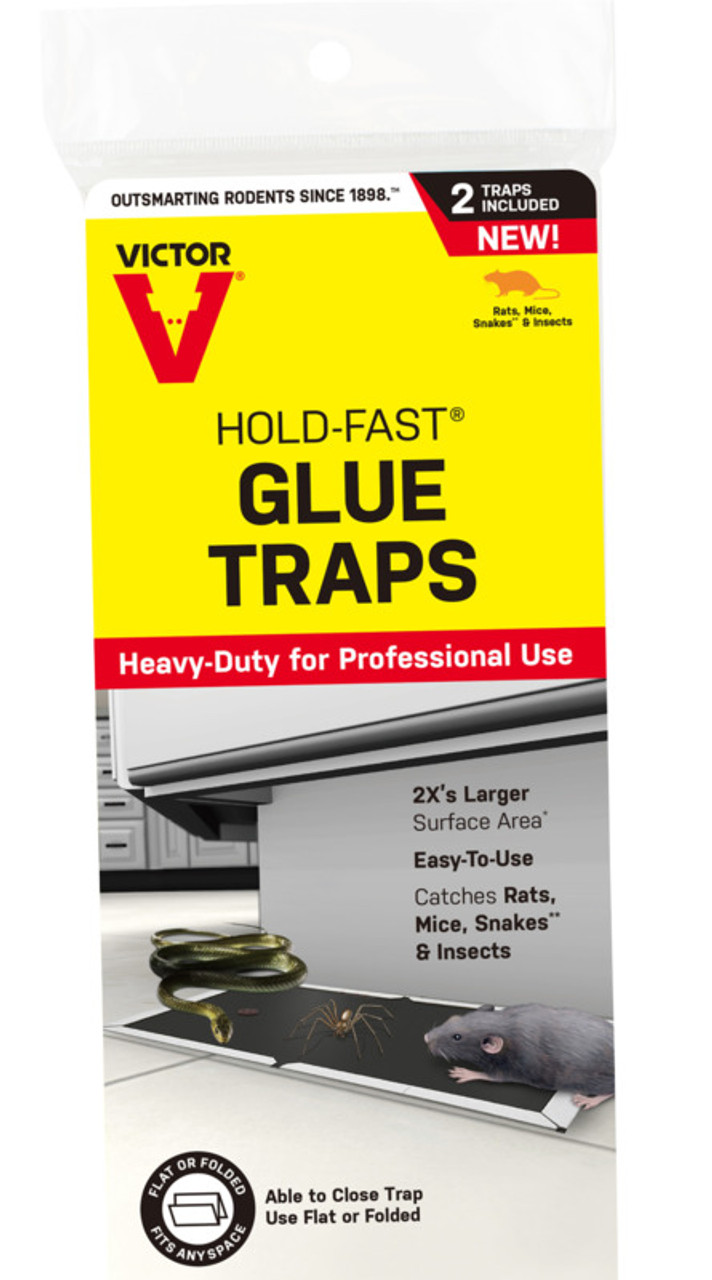 Victor Hold-Fast Glue Rat Traps, 2 Pack