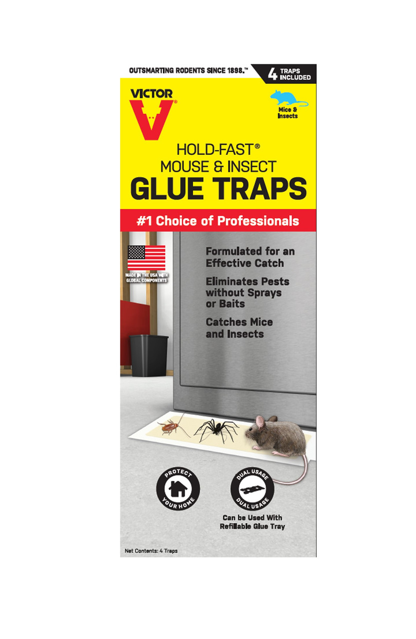 Victor Electronic Rat Trap Review - The Perfect Trap Choice?