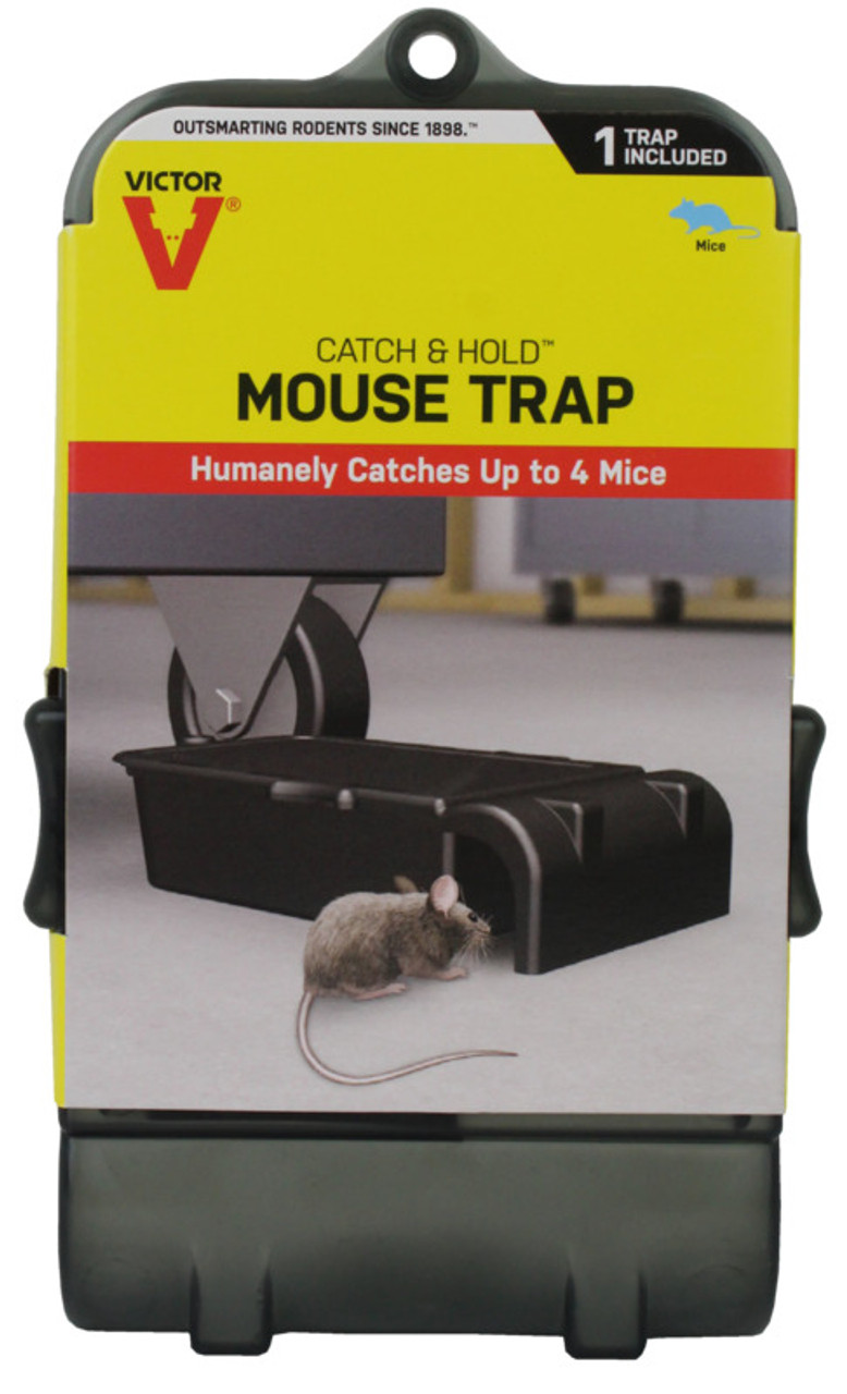Tomcat® Multi-Catch Mouse Trap