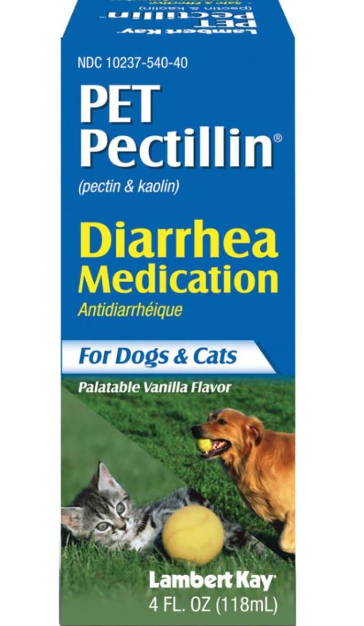 human diarrhea medicine for dogs