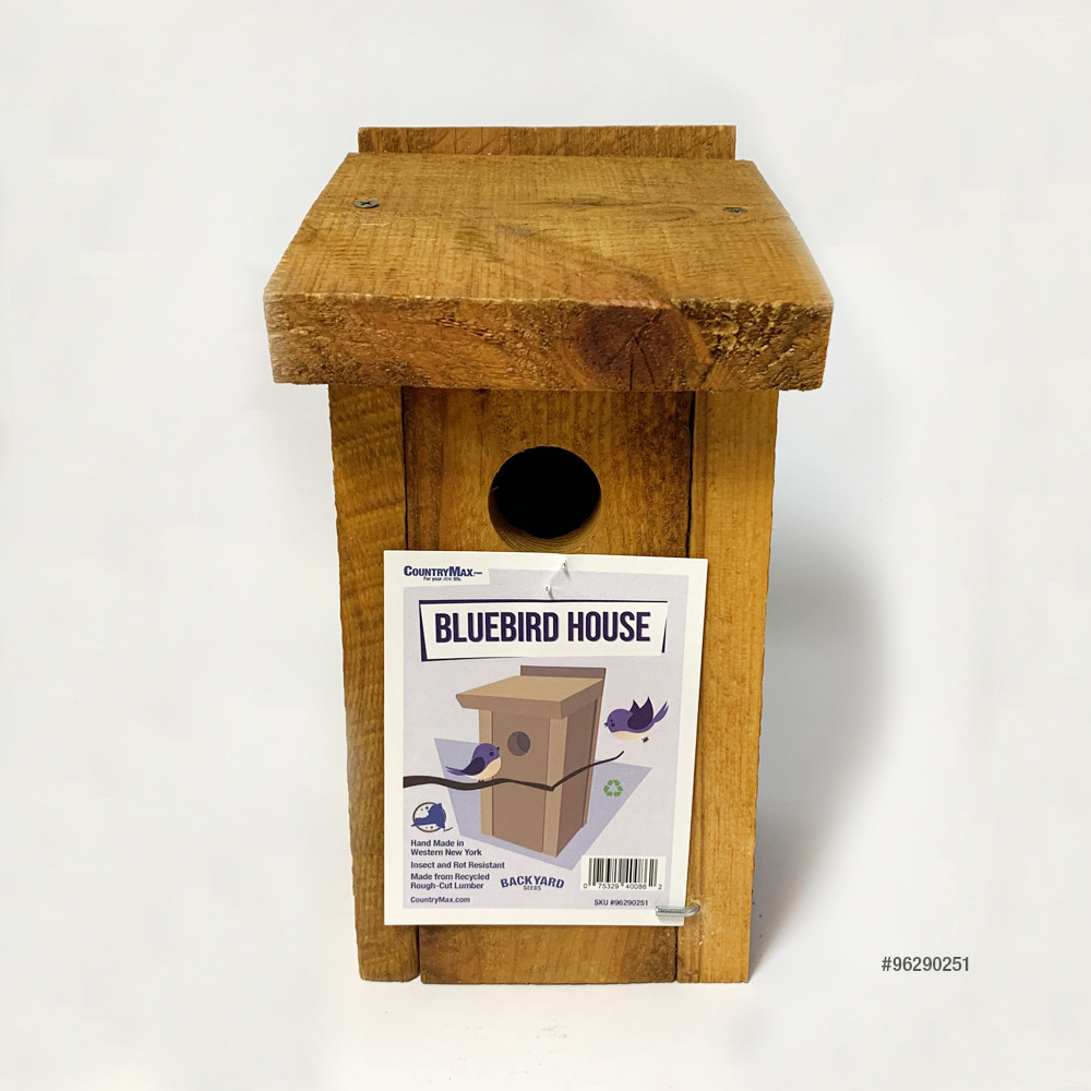 Bluebird_House-