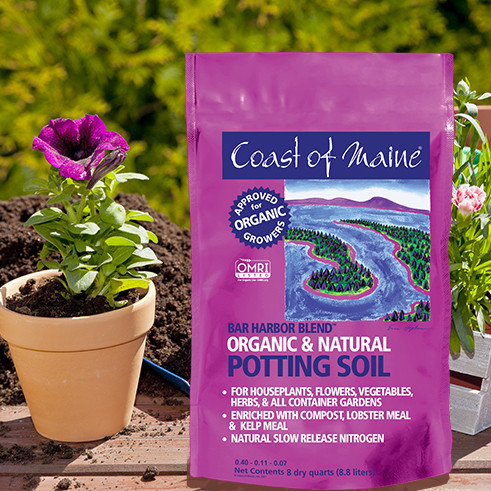 Coast of Maine Bar Harbor Blend Potting Soil - Thumbnail 5