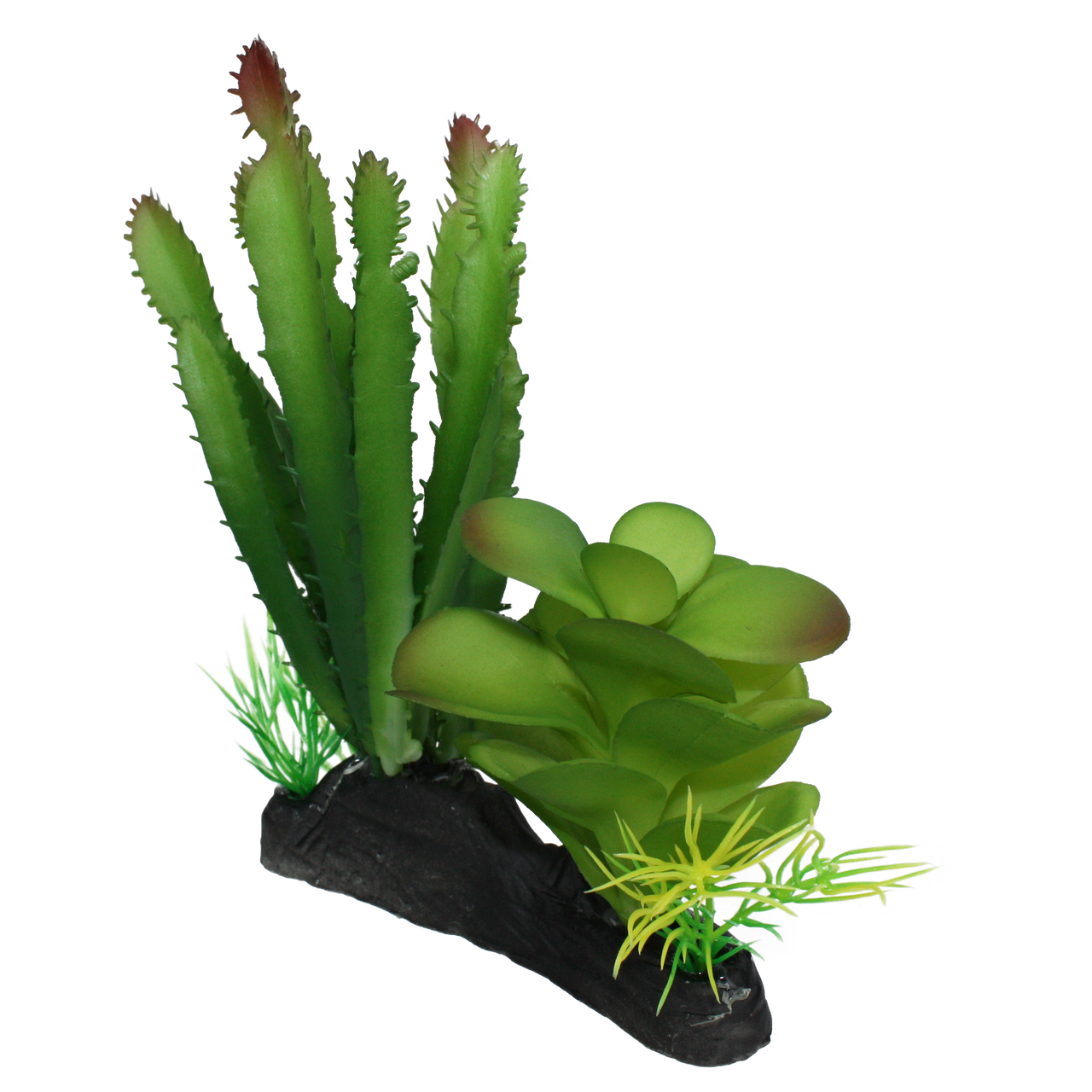 Komodo Cactus & Succulent Reptile Tank Plant w/ Weighted Base