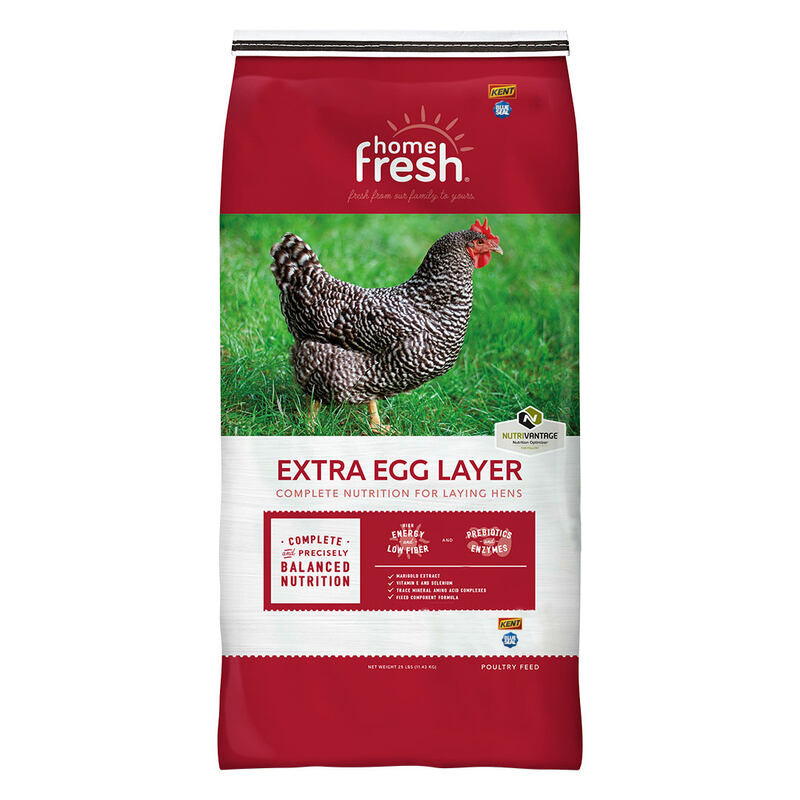 Blue Seal Home Fresh Extra Egg Layer 16% Protein Pellet Feed