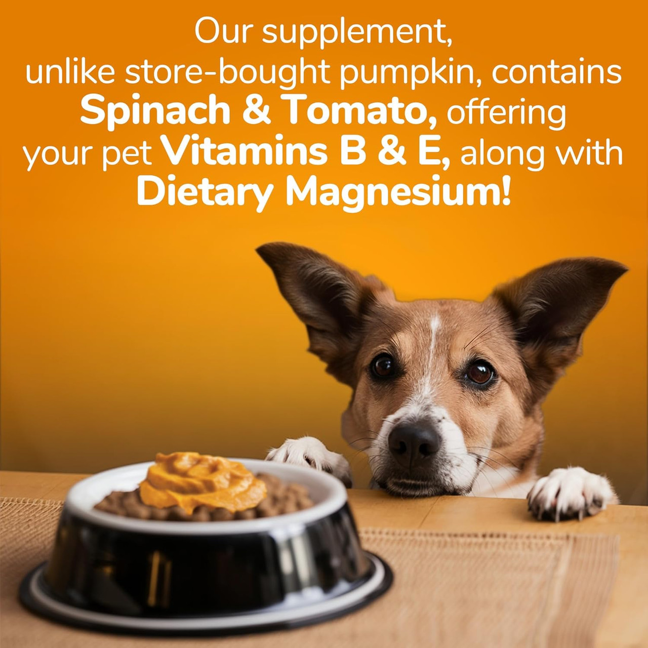 Fruitables Pumpkin Digestive Supplement Dog Food, 15oz.