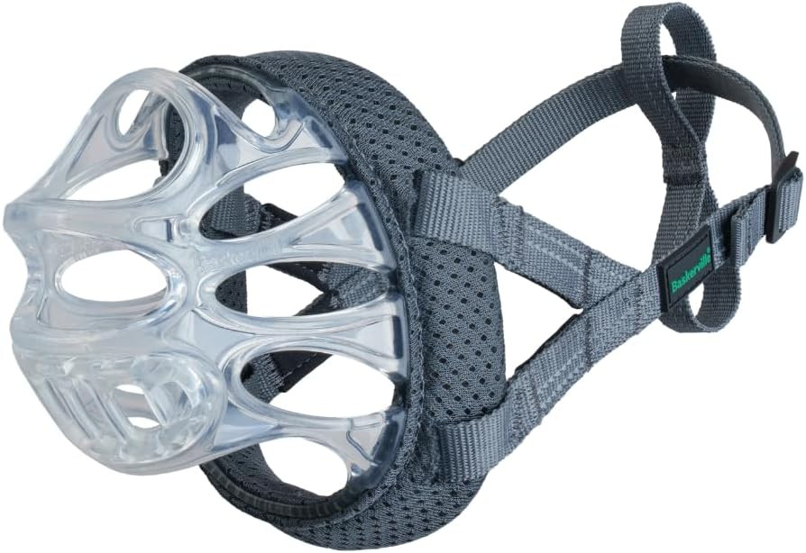 017399__16277.1756313198.jpg?c=2