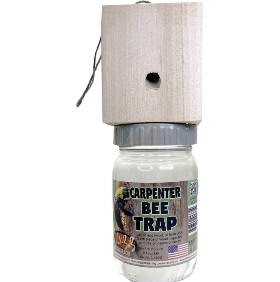 Billy Bob Carpenter Bee Trap