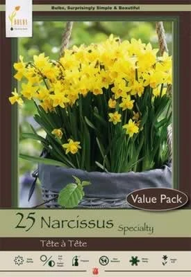 Netherland Bulbs Narcissus Tete a Tete Value Pack
