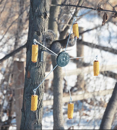 Heritage Farms Squirrel Go Round Medallion Squirrel Feeder