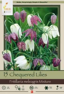 Netherland Bulbs Fritillaria Chequered Lilly Mix