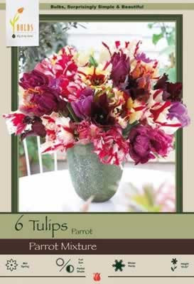 Netherland Bulbs Tulip Parrot Mixture