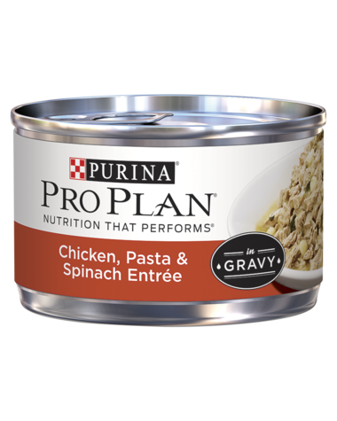 Pro Plan Chicken, Pasta & Spinach Canned Cat Food, 3 Oz.