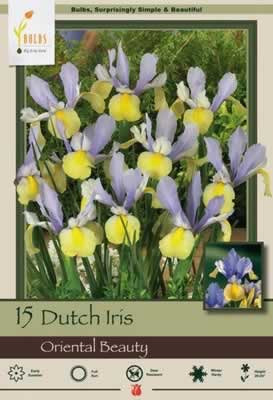Netherland Bulbs Iris Oriental Beauty