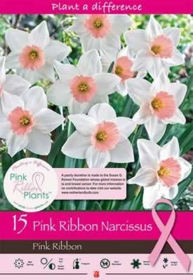 Netherland Bulbs Narcissus Pink Ribbon