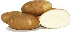 Gold Rush Seed Potato