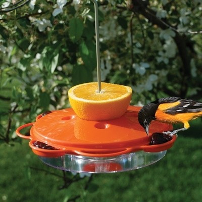 Audubon Classic Oriole Bird Feeder Plastic - CountryMax