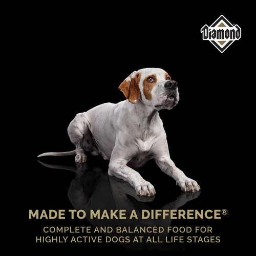 cardiac dog food royal canin Royal Canin Veterinary Diet main image 0