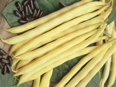 American Seed Company Bulk Pencil Pod Black Wax Beans