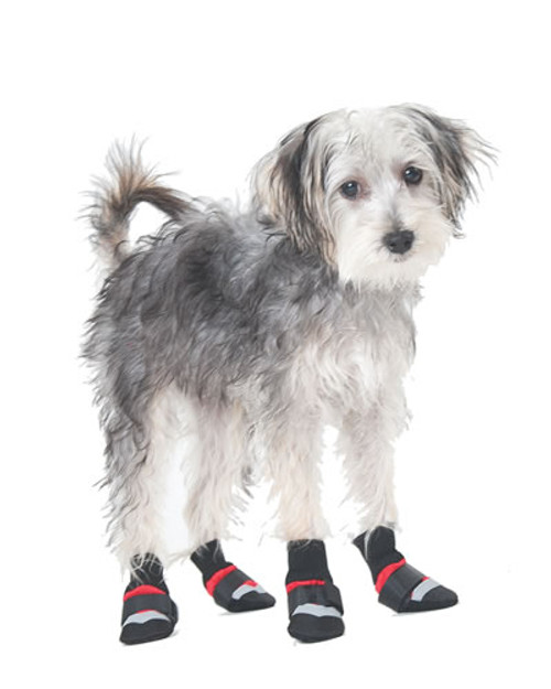 all dog boots