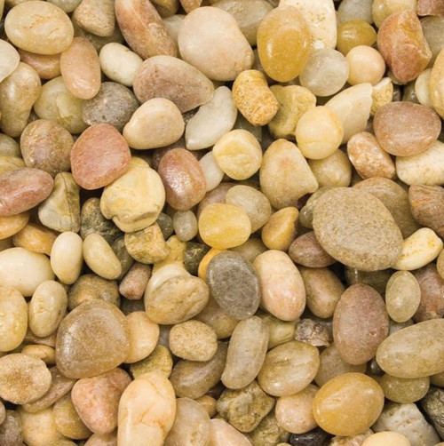  GASPRO Pea Gravel for Aquarium, Fish Tank, 5lbs, 1/5 Inch  Natural Pebbles Sand for Plants, Succulent, Cactus, Matte Texture, Mixed  Color : Pet Supplies