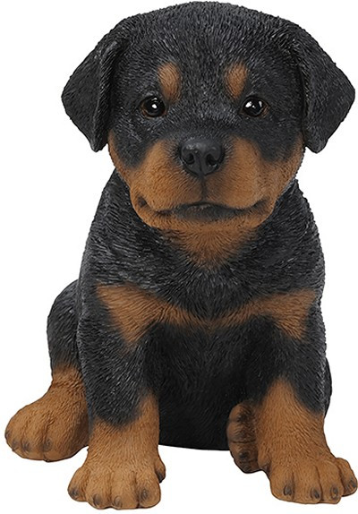 Nature's Gallery Canine Pals Rottweiler Puppy Figurine