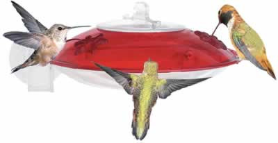 Droll Yankees Window Mount Hummingbird Feeder WH-3 with Nectar Guard