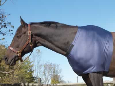 Centaur Lycra Shoulder Guard for Horses, Small Black