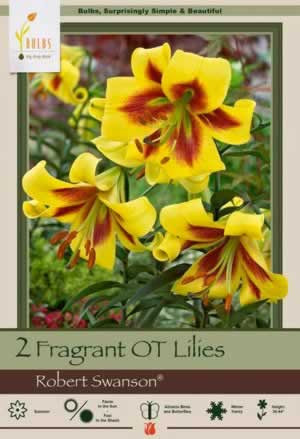 Netherland Bulbs Lilium Oriental Trumpet Robert Swanson