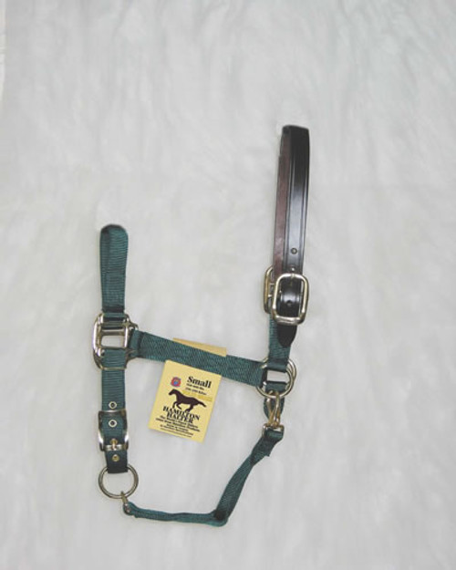 greenguard breakaway halter