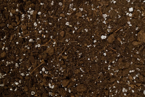 Sphagnum Peat Moss 3.8 Cubic Feet - CountryMax
