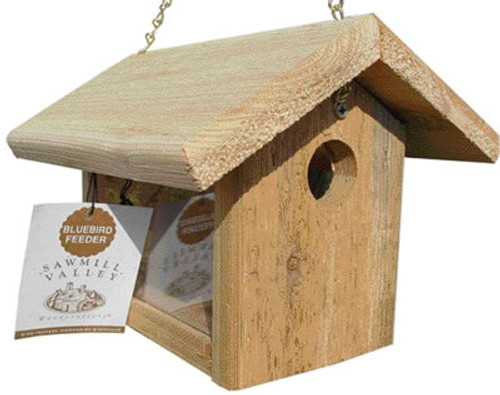 bluebird feeder design