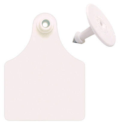 Allflex Blank White Ear Tag, 25 Count