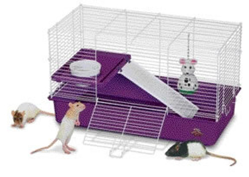 cheap pet rat cages