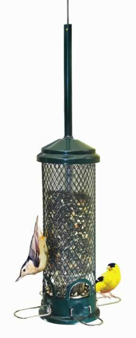 Brome Squirrel Buster Mini Squirrel Proof Wild Bird Feeder