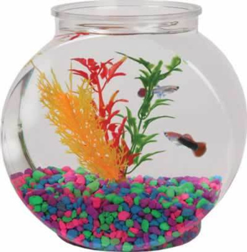 3 gallon fish bowl