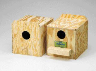Love Bird Nest Box, Regular