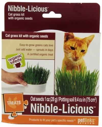 Petlinks Nibble-Licious Organic Cat Grass Seeds