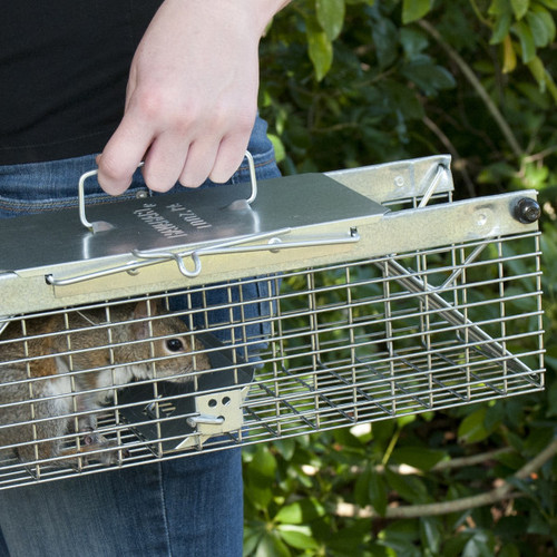 Havahart 1-Door Raccoon Trap, Extra Large - CountryMax