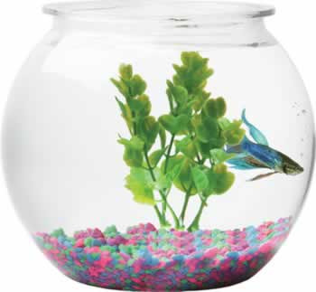 Plastic Fish Bowl 1.5 Gallon