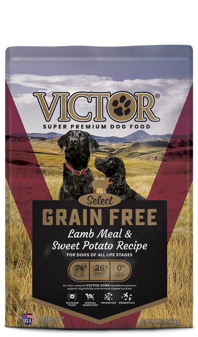 victor yukon salmon and sweet potato