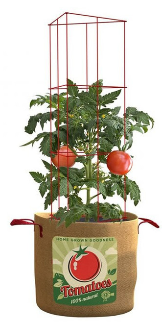 Panacea Tomato Grow Bag with Plant Support