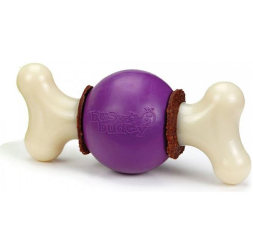 PetSafe Busy Buddy Magic Mushroom Dog Toy - Keene, NH - Barre, VT -  Brattleboro, VT - One Stop Country Pet Supply