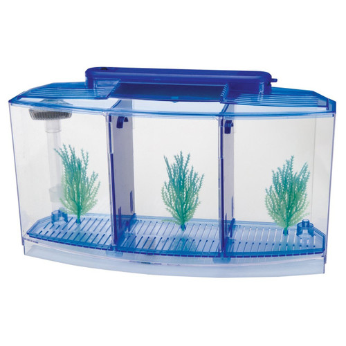 Penn Plax Finding Dory Betta Tank Kit 0.5 Gallons - CountryMax