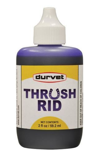 Durvet Thrush Rid For Horses, 2 Oz