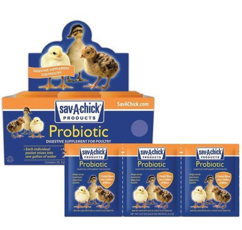 fastrack probiotic for dogs