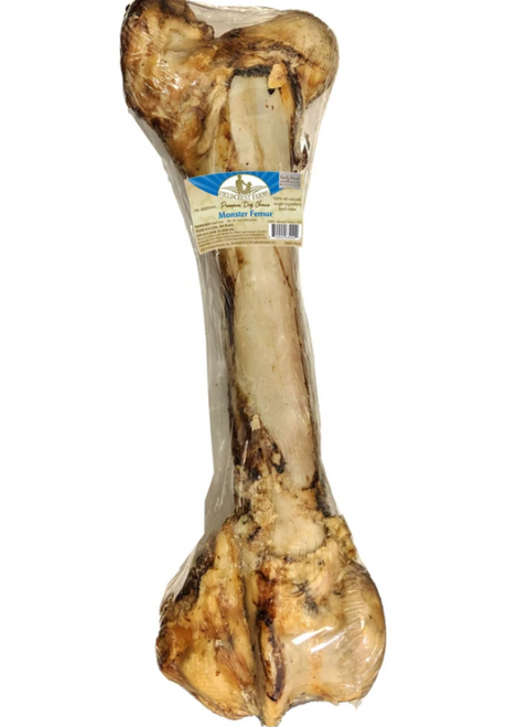 Fieldcrest Farm Monster Femur Bone