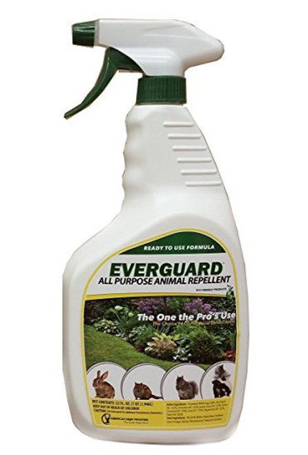 Everguard All Purpose Repellent, Ready To Use